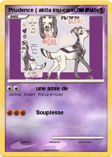 Pokemon Prudence ( akita inu-caniche mixte )