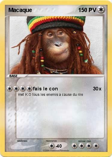 Pokemon Macaque