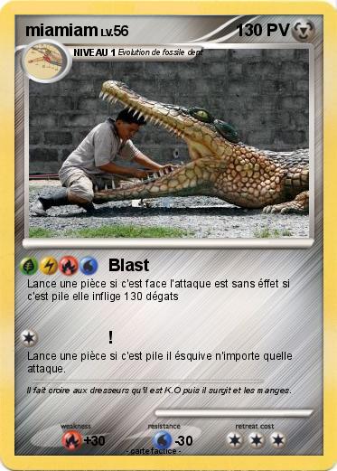 Pokemon miamiam