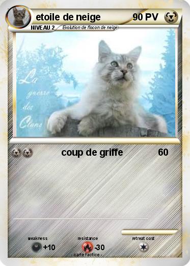 Pokemon etoile de neige