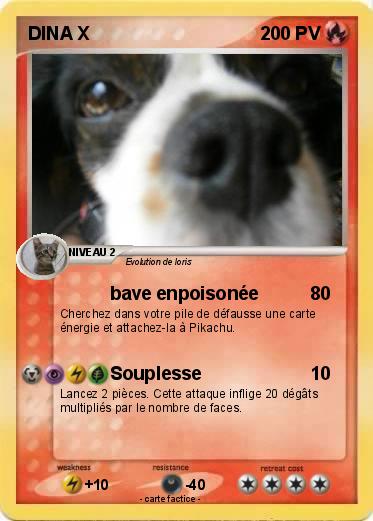 Pokemon DINA X
