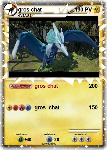 Pokemon gros chat