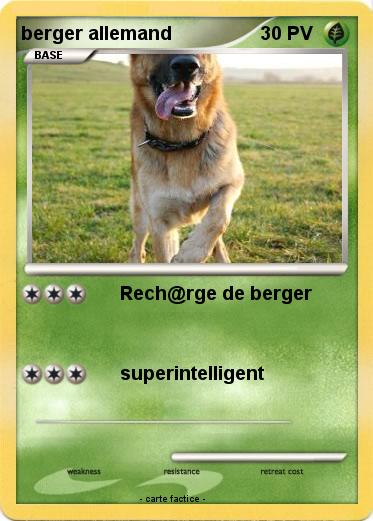 Pokemon berger allemand