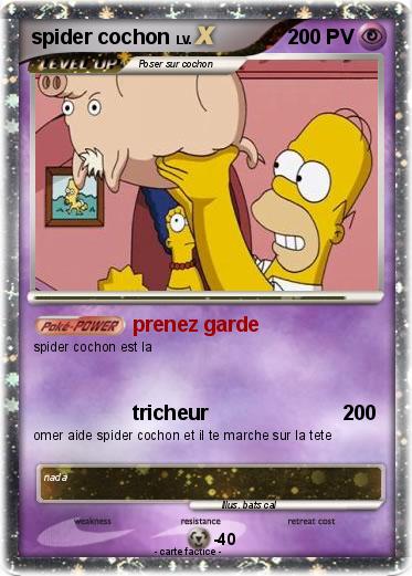 Pokemon spider cochon