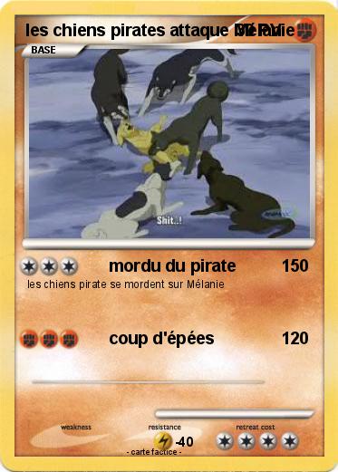 Pokemon les chiens pirates attaque Mélanie