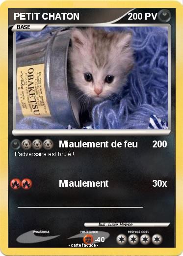 Pokemon PETIT CHATON