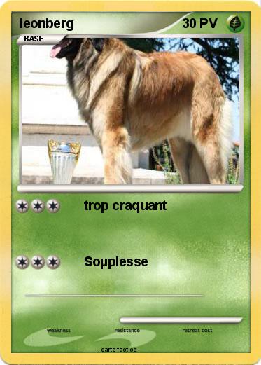 Pokemon leonberg