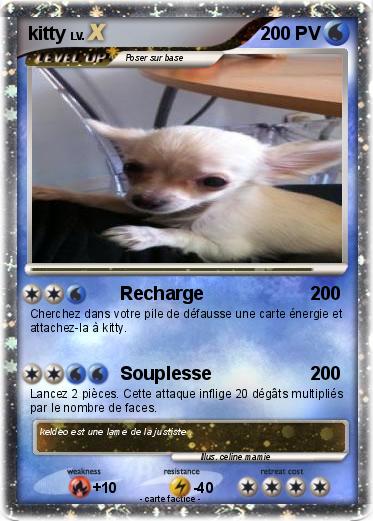 Pokemon kitty