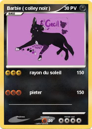 Pokemon Barbie ( colley noir )