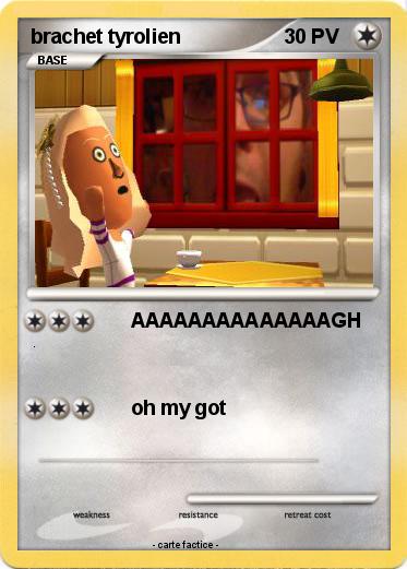 Pokemon brachet tyrolien