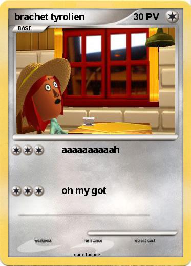 Pokemon brachet tyrolien