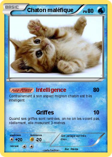 Pokemon Chaton maléfique