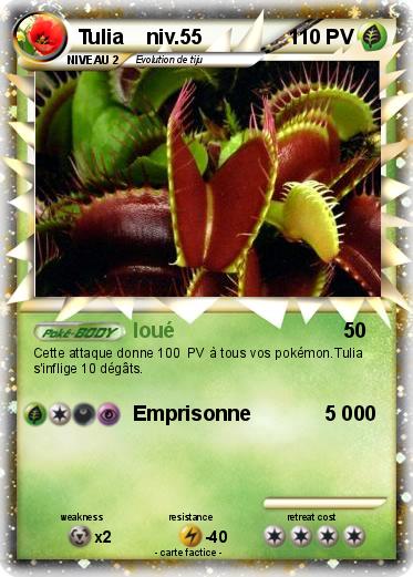 Pokemon Tulia    niv.55