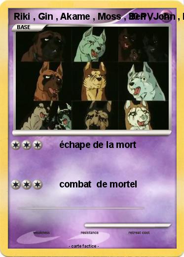 Pokemon Riki , Gin , Akame , Moss , Ben , John , Hakuro , Akatora , Chutora , Kagetora et mute générall