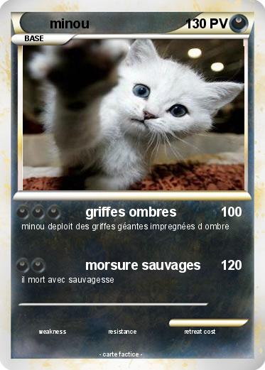 Pokemon minou