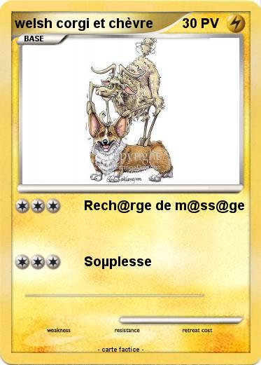 Pokemon welsh corgi et chèvre
