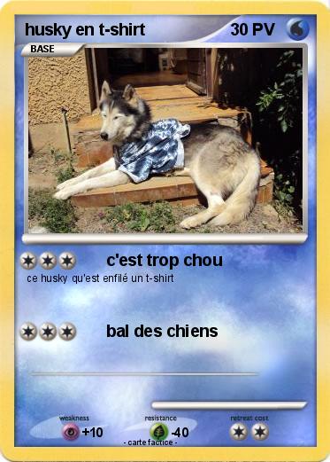 Pokemon husky en t-shirt