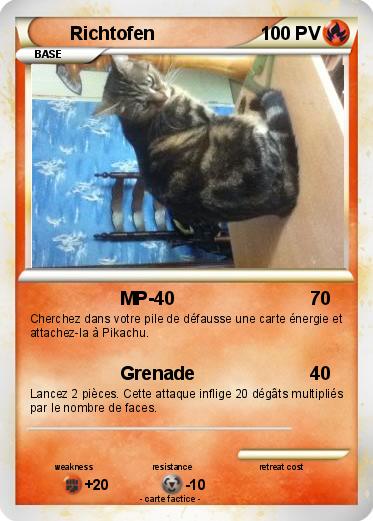 Pokemon Richtofen