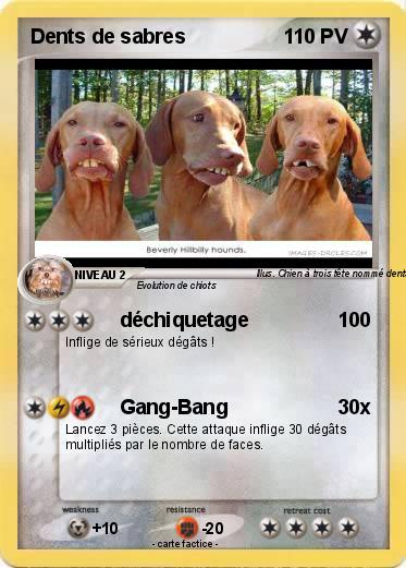 Pokemon Dents de sabres