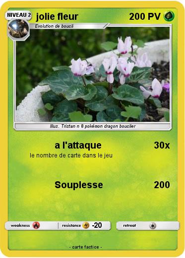 Pokemon jolie fleur