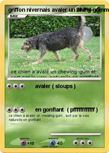 Pokemon griffon nivernais avaler un ching-gomme