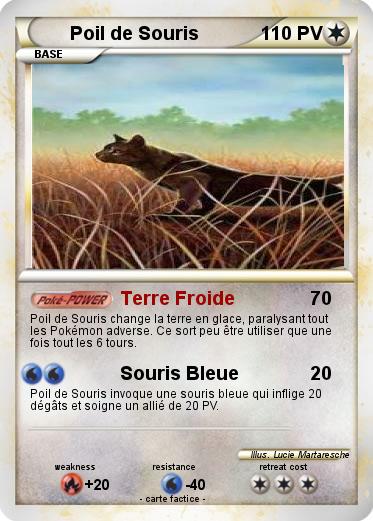 Pokemon Poil de Souris