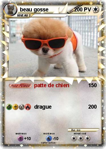 Pokemon beau gosse