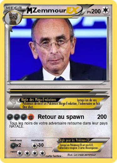 Pokemon Zemmour