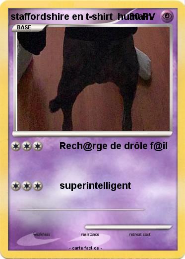 Pokemon staffordshire en t-shirt  humain