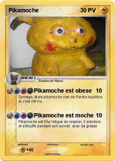 Pokemon Pikamoche