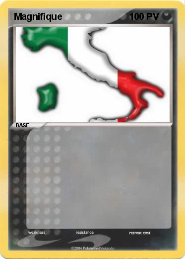 Pokemon Magnifique