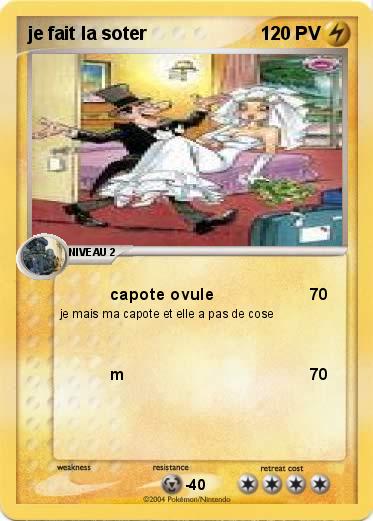 Pokemon je fait la soter 