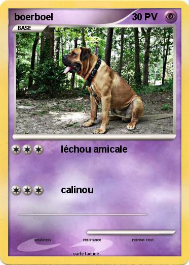 Pokemon boerboel