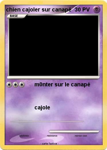 Pokemon chien cajoler sur canapé