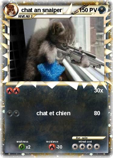 Pokemon chat an snaiper