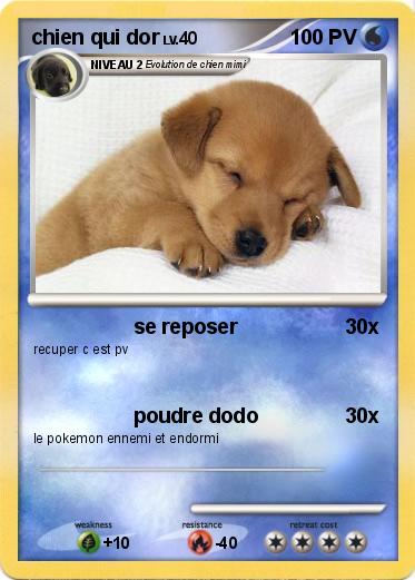 Pokemon chien qui dor