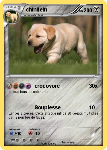 Pokemon chinilein
