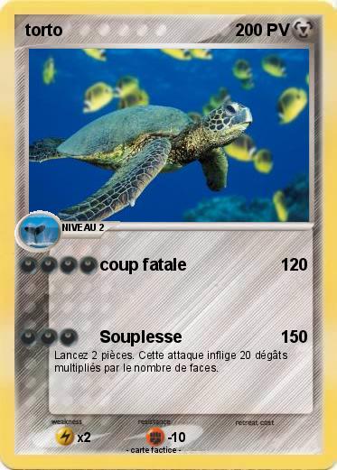 Pokemon torto