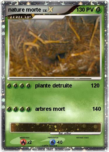 Pokemon nature morte