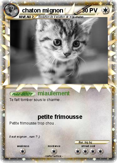 Pokemon chaton mignon