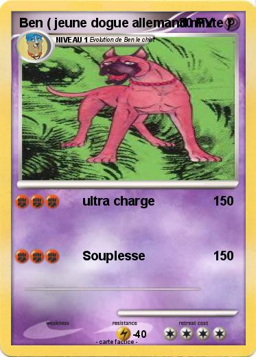 Pokemon Ben ( jeune dogue allemand mixte )