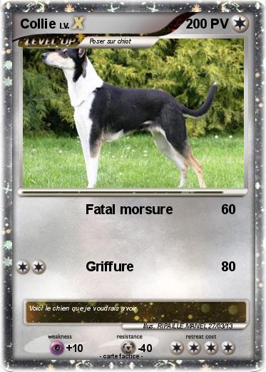 Pokemon Collie