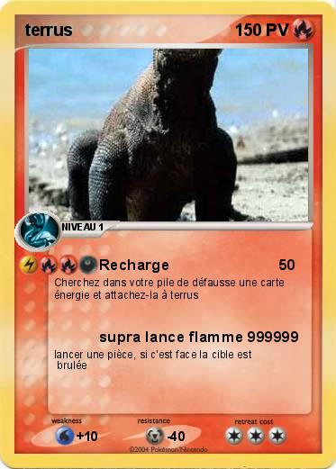 Pokemon terrus