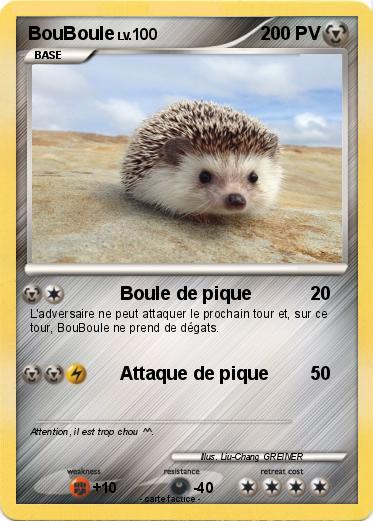 Pokemon BouBoule