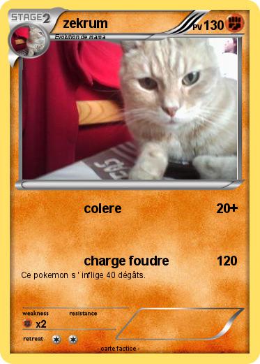 Pokemon zekrum