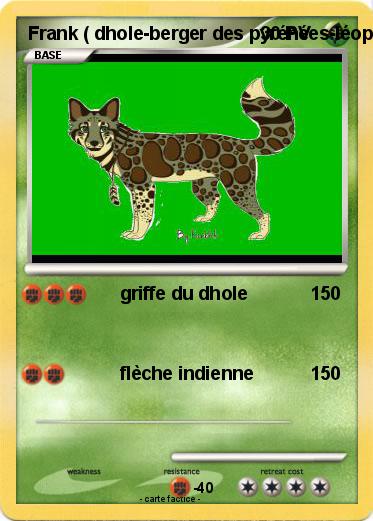 Pokemon Frank ( dhole-berger des pyrénées-léopard hybride )
