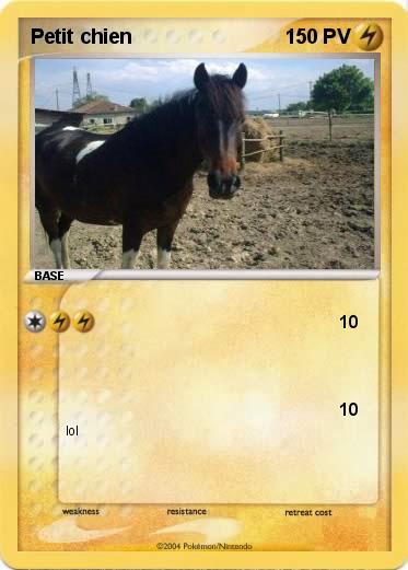 Pokemon Petit chien