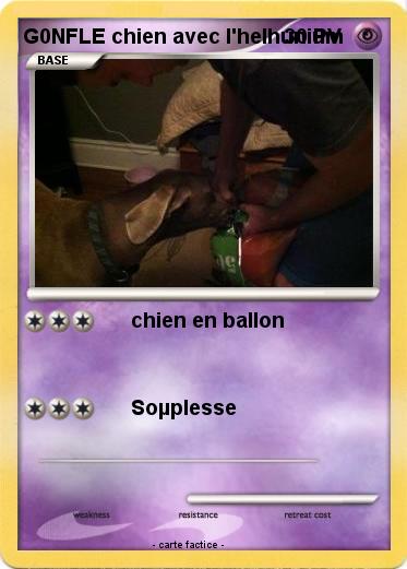 Pokemon G0NFLE chien avec l'helhunium