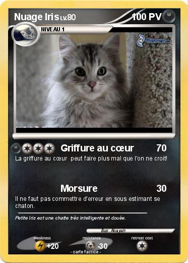 Pokemon Nuage Iris