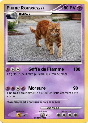 Pokemon Plume Rousse